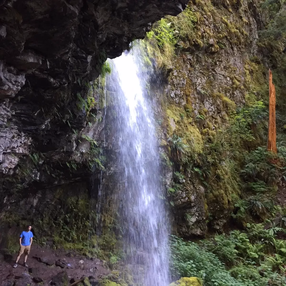 Meaning is a need or meaning as a need?